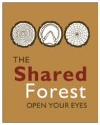 A Shared Forest