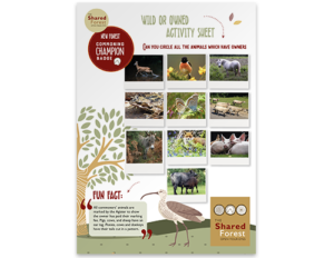 Activity Sheets 02 - Wild or owned?