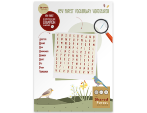 Wordsearch