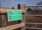 The ongoing challenge of encroachments for the New Forest CDA