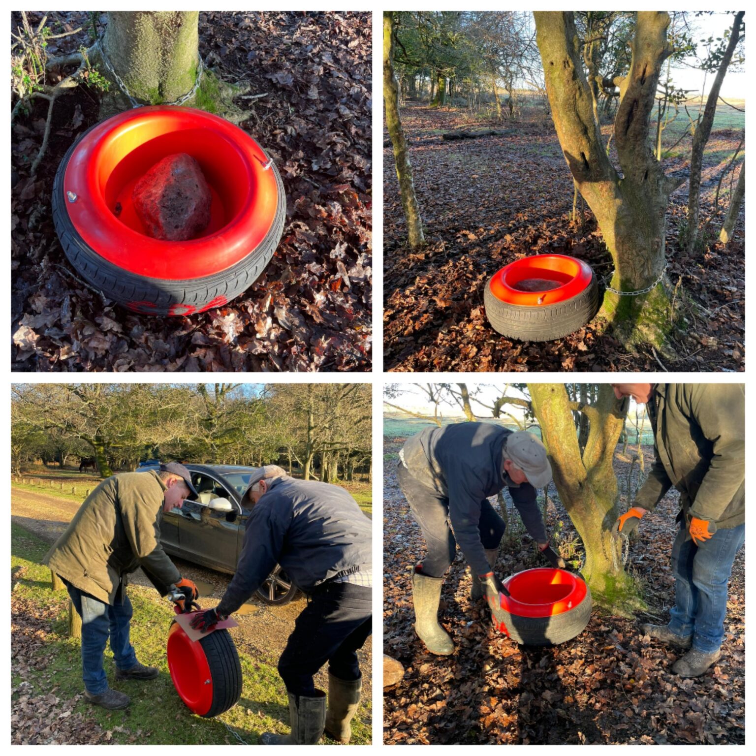 Salt licks now in place along Roger Penny Way Real New Forest