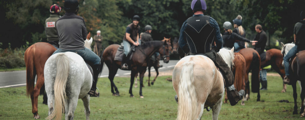 New Forest Commoners Defence Association