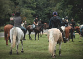 New Forest Commoners pushing for recognition as a minority group