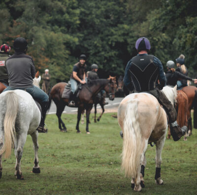 New Forest Commoners pushing for recognition as a minority group