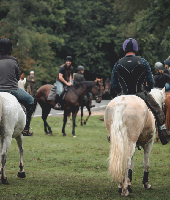 New Forest Commoners pushing for recognition as a minority group
