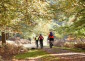 Feedback wanted for proposed cycle network revamp in New Forest