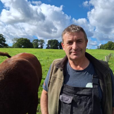 How proposed options for local government revamp could impact New Forest commoners