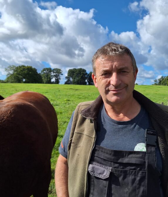 How proposed options for local government revamp could impact New Forest commoners