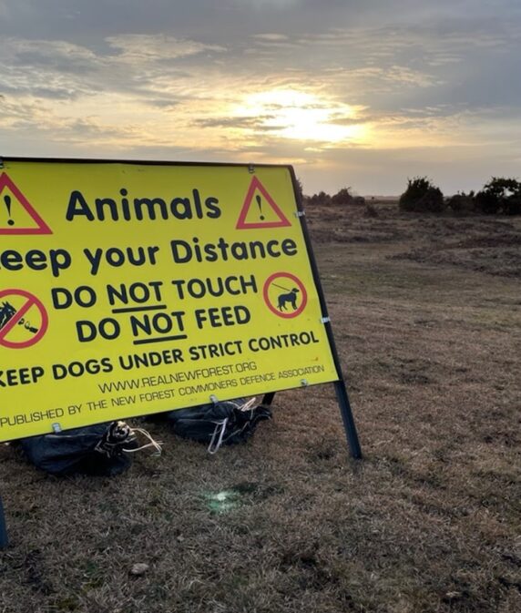 Feedback wanted on extending wildfire and pony petting PSPOs