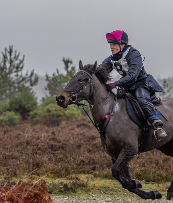 Who are the New Forest Young Commoners?