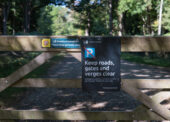 Birch felling, track repairs and bridge battle among key issues on open Forest