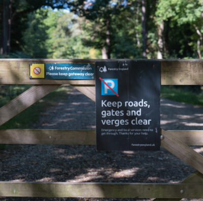 Birch felling, track repairs and bridge battle among key issues on open Forest