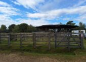 Upkeep of Beaulieu Road saleyard by New Forest Livestock Society is ‘no mean task’