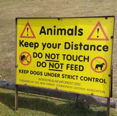 Reminder signs out to urge people to respect New Forest livestock