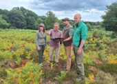 New Forest CDA, Forestry England and Natural England – working together for the good of the Forest