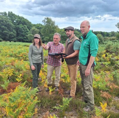 New Forest CDA, Forestry England and Natural England – working together for the good of the Forest