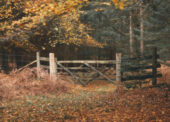 New Forest CDA Mid-Term meeting – save the date