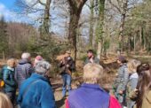 Young Commoners to host guided New Forest walk at Beaulieu Road