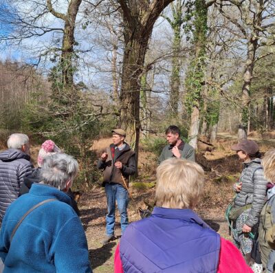 Young Commoners to host guided New Forest walk at Beaulieu Road