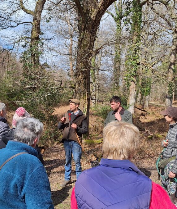 Young Commoners to host guided New Forest walk at Beaulieu Road