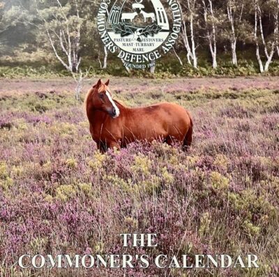 New Forest CDA 2026 calendar is out
