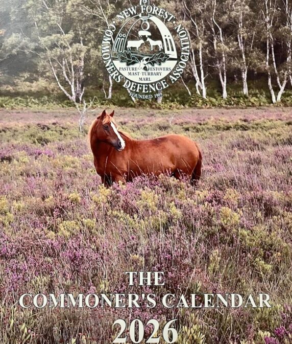 New Forest CDA 2026 calendar is out