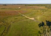 New Forest CDA calls for safe access at Penny Moor following restoration concerns