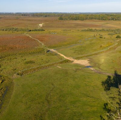 New Forest CDA calls for safe access at Penny Moor following restoration concerns