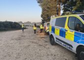 Battle continues to reduce number of New Forest animal accidents