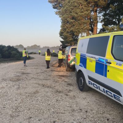 Battle continues to reduce number of New Forest animal accidents