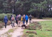 Explore New Forest commoning with the Young Commoners