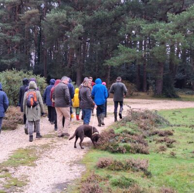 Explore New Forest commoning with the Young Commoners