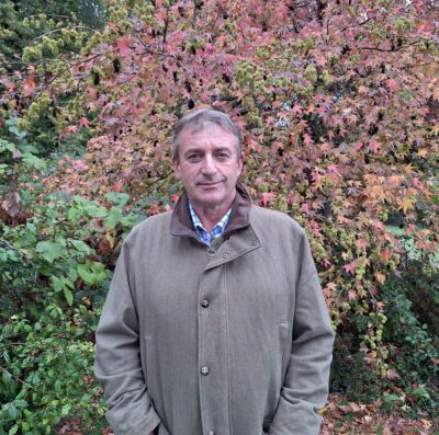 New Forest CDA chair’s October commoning update